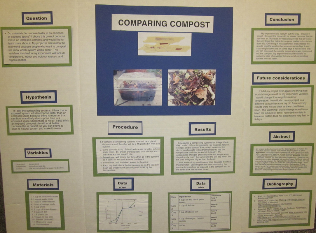 abstract example science fair